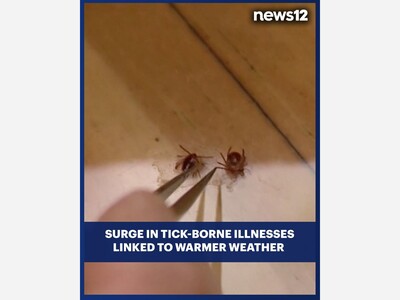 Tick-Borne Illnesses Spike Across Long Island