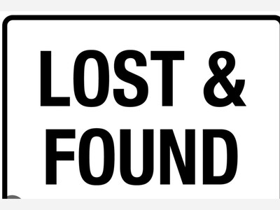 Lost and found dogs and cats 