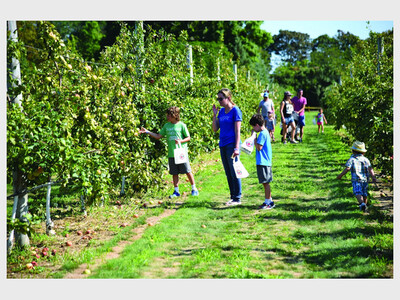 Harbes Apple Festival 